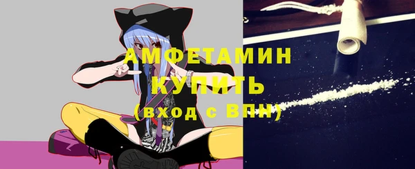 ПСИЛОЦИБИНОВЫЕ ГРИБЫ Великий Новгород