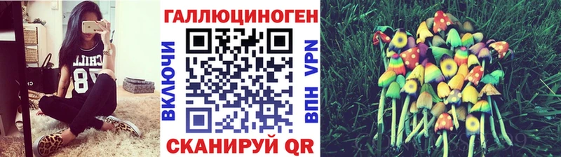 Псилоцибиновые грибы Cubensis  купить наркотик  Южа 